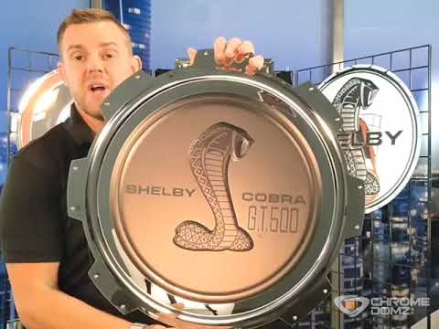 Shelby GT 500