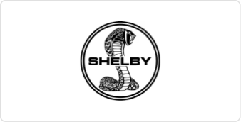 Shelby Chrome Domz sign