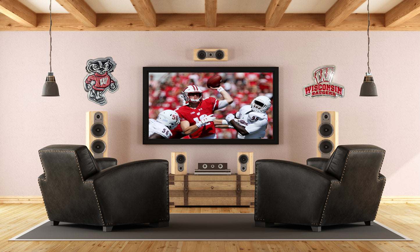 embossed mirror polished stainless steel sign garage décor Wisconsin Badgers Bucky Badger on wall
