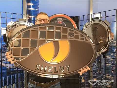 Shelby Series One Badge Metal Sign