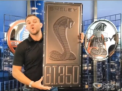 Shelby GT 350 Badge Metal Sign